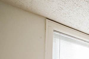 Living Room of 8236 S Maryland Apartments in Chatham
